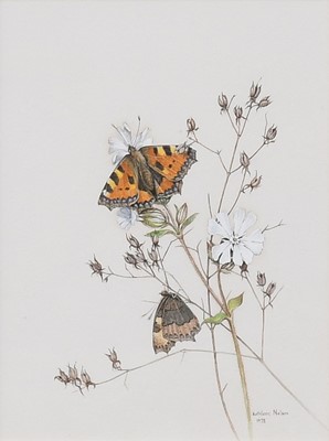 Lot 1154 - Kathleen Nelson (Contemporary) Monarch...