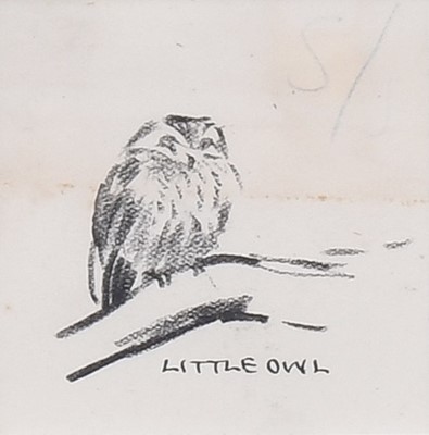 Lot 1176 - Eileen Soper RMS SWLA (1905-1990) "Little Owl"...