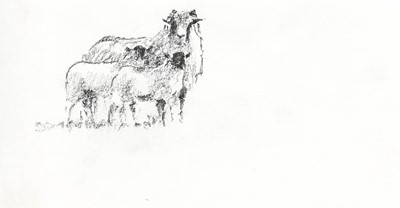Lot 613 - Brian Irving (1931-2013) A large collection of...