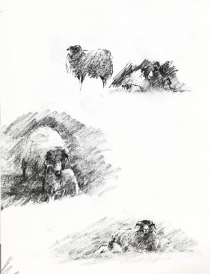 Lot 613 - Brian Irving (1931-2013) A large collection of...