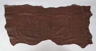 Lot 26 - Skuls/Horns: Cape Buffalo Horns on Skull...