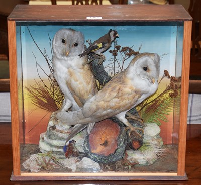 Lot 1062 - Taxidermy: A Late Victorian Cased Pair of Barn...