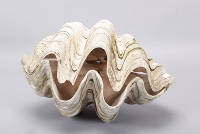 Lot Conchology: Giant Clam Shell (Tridacna gigas),...