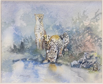 Lot 1189 - Brian Needham (b.1940) Cheetahs by the...