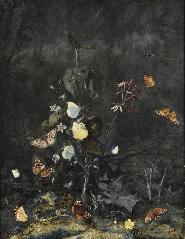 Lot 828 - Otto Marseus Van Schrieck (1619-1698) Dutch  Butterflies and a snake in foliage and undergrowth...