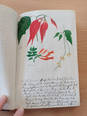 Lot 109 - Egypt and the Middle East Travel Journals....