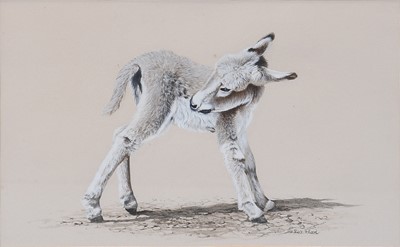 Lot 1042 - Rex Flood (Contemporary) Donkey foal Signed,...