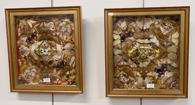 Lot 1123 - Entomology: A Pair of Framed Victorian...