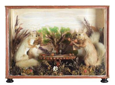 Lot Taidermy: Anthropomorphic Diorama of Card...