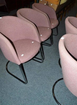 Lot 985 - A set of six modern chrome tubular tub chairs with lilac upholstery