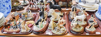 Lot 204 - Border Fine Arts Dog and Cat Models, including:...