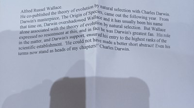 Lot 91 - An Enamel Mourning Ring, the plaque enamelled...