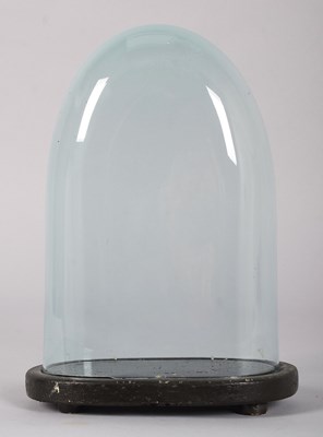 Lot Glass Dome: A Period Glass Dome, of oval form,...