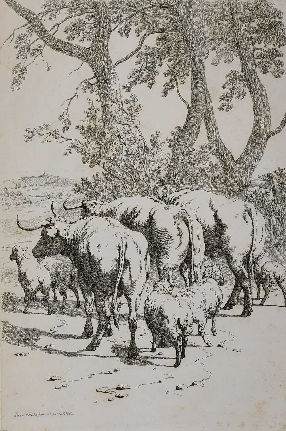 Lot 79 - Hills (Robert). Cattle in Groups for the...