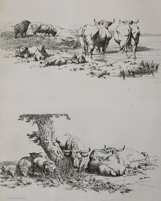 Lot 79 - Hills (Robert). Cattle in Groups for the...