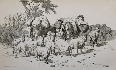 Lot 79 - Hills (Robert). Cattle in Groups for the...
