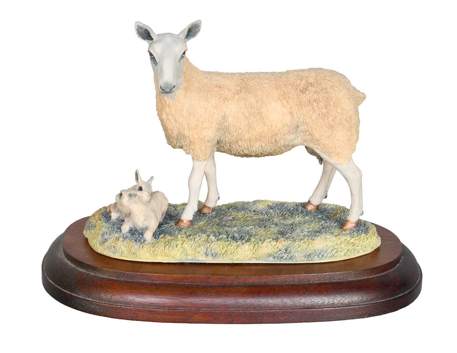 Lot 87 - Border Fine Arts 'Blue Faced Leicester Ewe