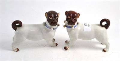 Lot 196 - A pair of Continental porcelain pug dogs