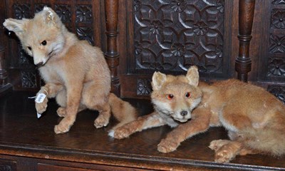 Lot 258 - Two taxidermy foxes