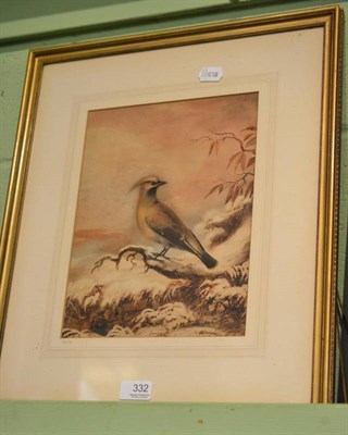 Lot 332 - English School (19th century), A Waxwing Perched on a Branch, indistinctly signed, watercolour,...