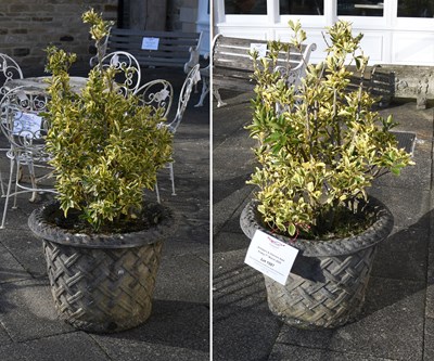 Lot 1087 - A Pair of Weathered Composition Basket Form...