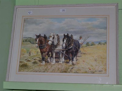 Lot 362 - Dorothy Margaret (1900-1992) and Elizabeth Mary Alderson (1900-1988) three shire horses...