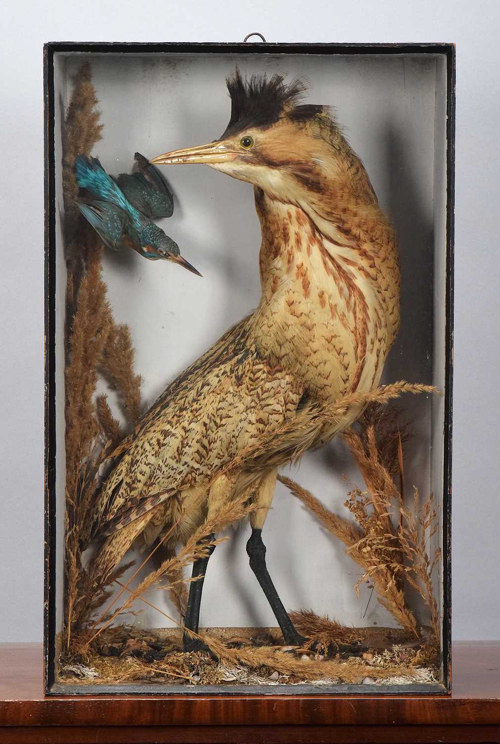 Lot 273 - Taxidermy: A Late Victorian Cased European...