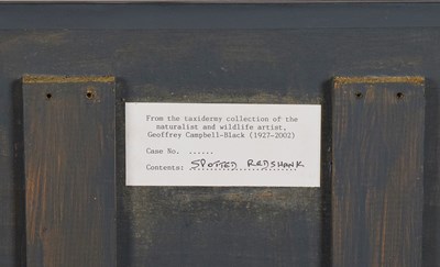 Lot 25 - Taxidermy: A Cased Spotted Redshank (Tringa...