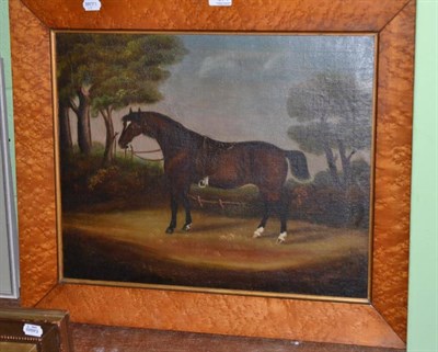 Lot 371 - British Provincial School, Portrait a Bay Horse, oil on canvas