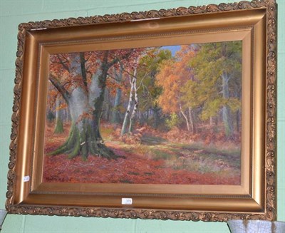 Lot 379 - Sidney M Broad, 'The Forest Monarch', signed, oil on canvas