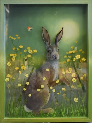 Lot 1016 - Bridget Tavener (contemporary) "Hare" Signed,...