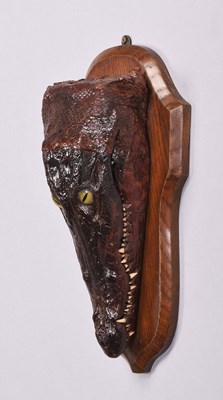 Lot 1096 - Taxidermy: A Nile Crocodile Head Mount...