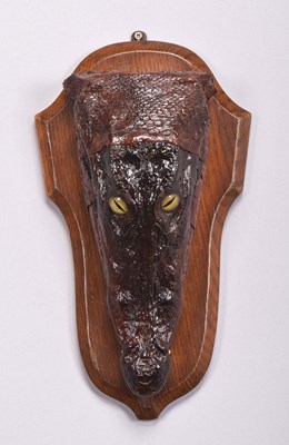 Lot 1096 - Taxidermy: A Nile Crocodile Head Mount...