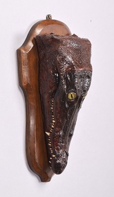 Lot 1096 - Taxidermy: A Nile Crocodile Head Mount...