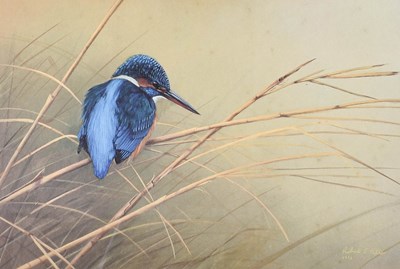 Lot 1021 - After Robert E Fuller (b.1972) Kingfisher in...