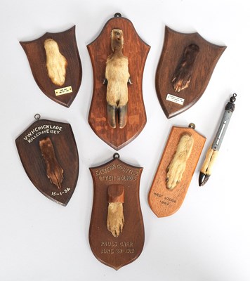 Lot 1093 - Taxidermy: A Collection of Mounted Fox Pads,...