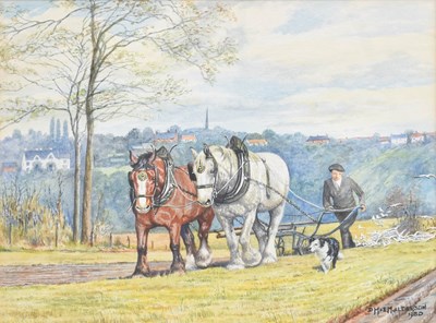 Lot 1007 - D.M & E.M Alderson (20th Century) Clydesdale...