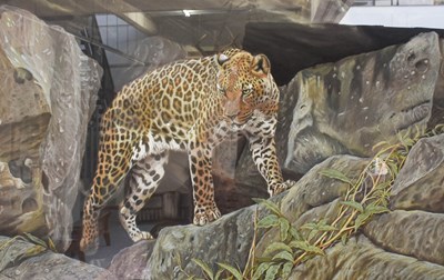 Lot 1022 - Don McKay (Contemporary) Leopard on rocky...