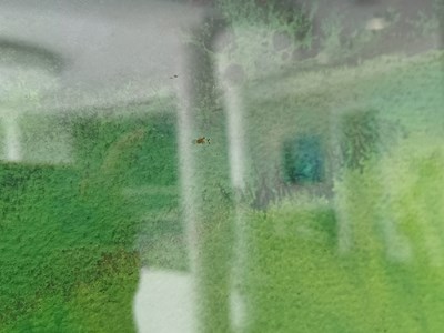 Lot 457 - Paul Jenkins (1923-2012) American "Phenomena...