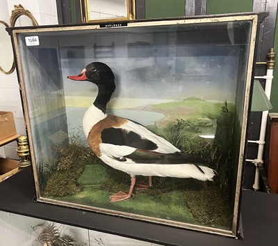 Lot 1094 - Taxidermy: An Early 20th Century Cased Common...