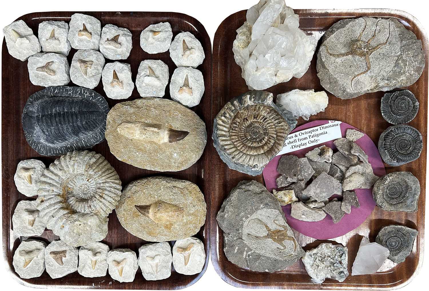 Lot 1135 - Fossils/Minerals: A Collection of Various...