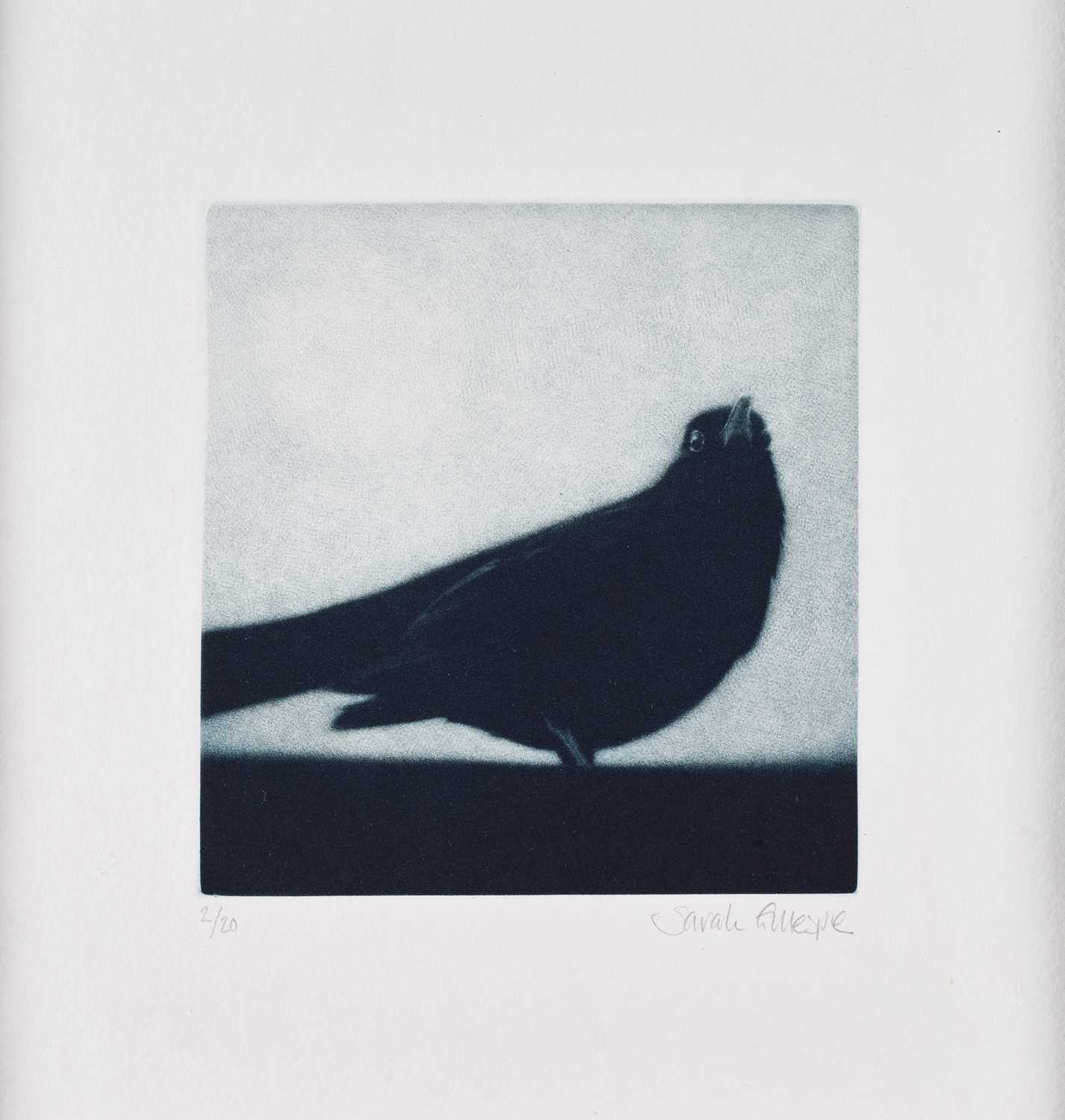 Lot 403 - Sarah Gillespie (Contemporary) "Blackbird"...