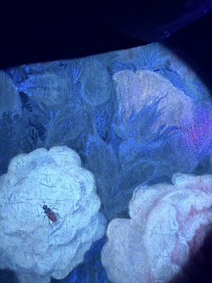 Lot 1069 - Follower of Balthasar van der Ast (1593-1657)...