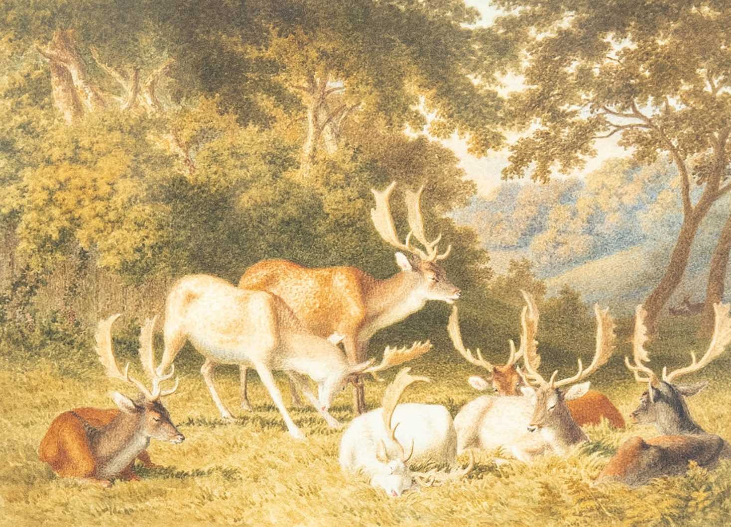 Lot 608 - Attributed to Robert Hills (1769-1844) Stags...