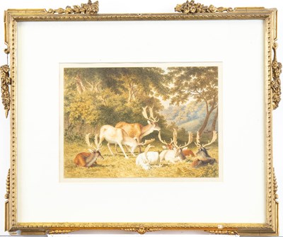 Lot 608 - Attributed to Robert Hills (1769-1844) Stags...