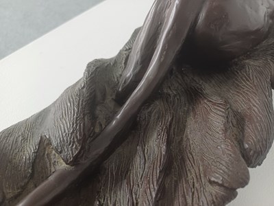 Lot 401 - Donald Greig (b.1959) South African Lioness...