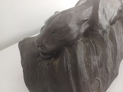 Lot 401 - Donald Greig (b.1959) South African Lioness...
