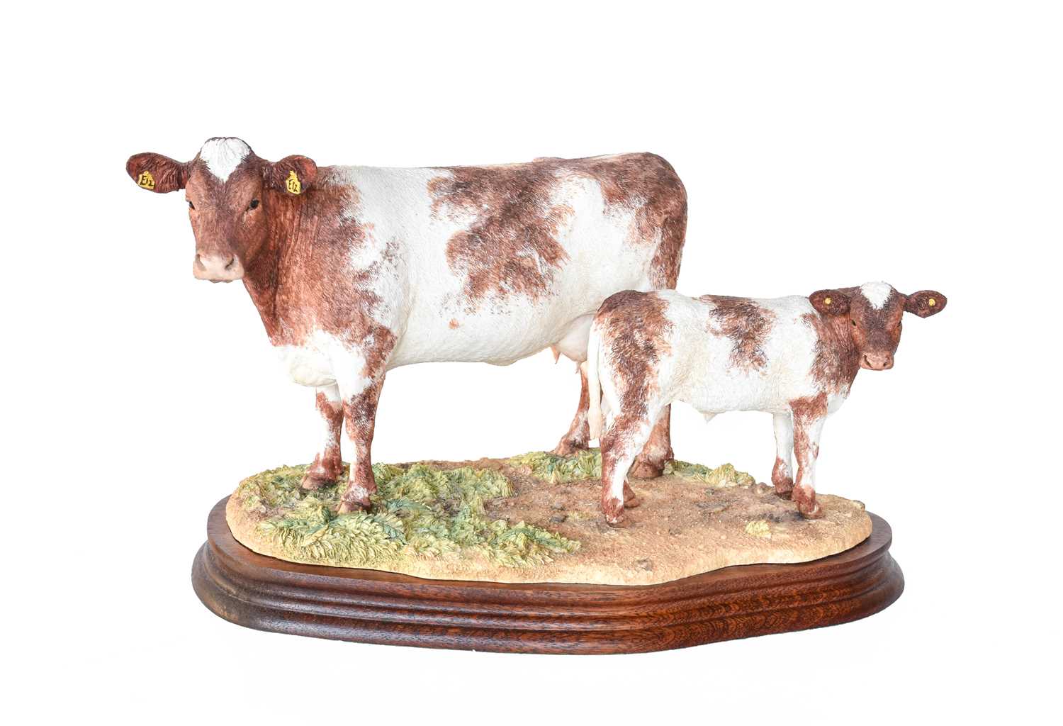 Lot 80 - Border Fine Arts 'Beef Shorthorn Cow and Calf',...