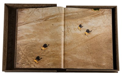 Lot 400 - Michael Poliza (b.1958) German "Eyes Over...