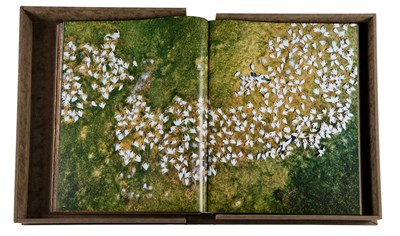 Lot 400 - Michael Poliza (b.1958) German "Eyes Over...